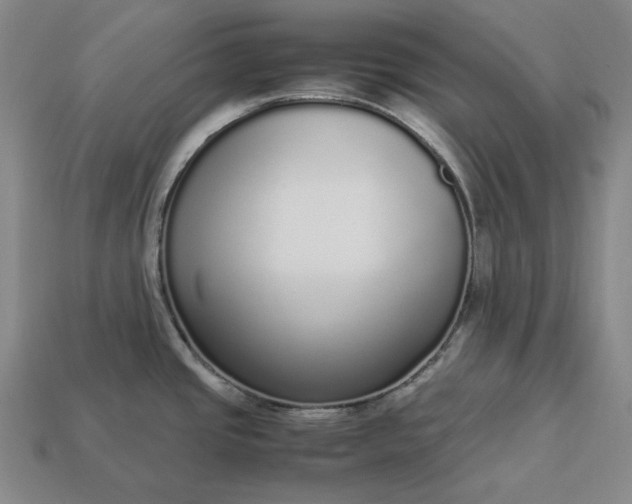 X0000113141437200909181720