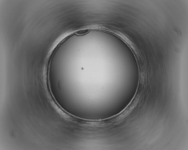 X0000113141438200909181720