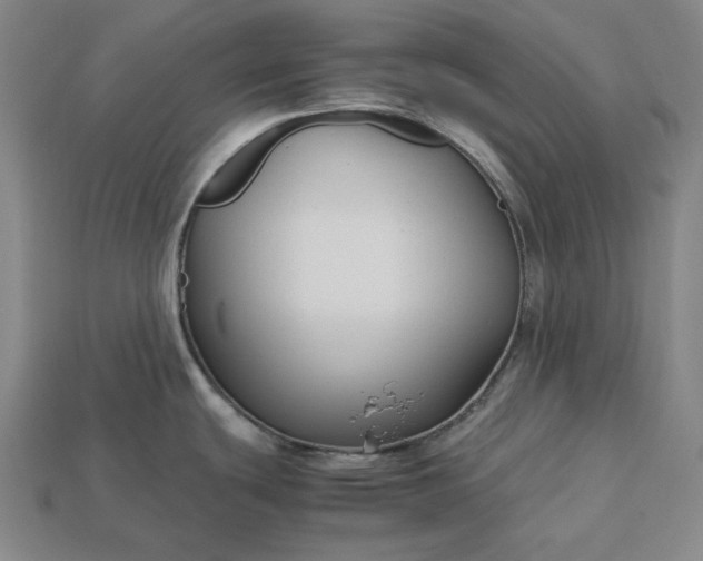 X0000113141439200909181720