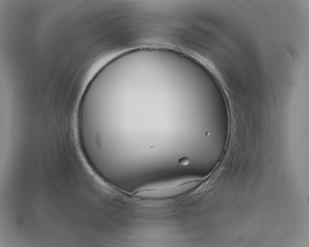 X0000113141440200909181720