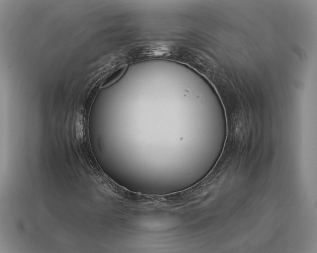 X0000113141442200909181720