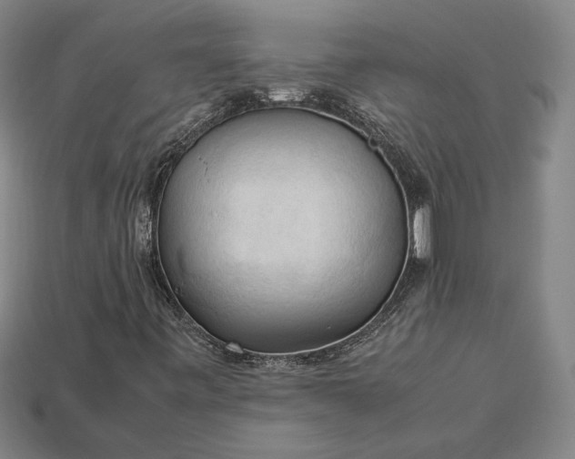 X0000113141443200909181720