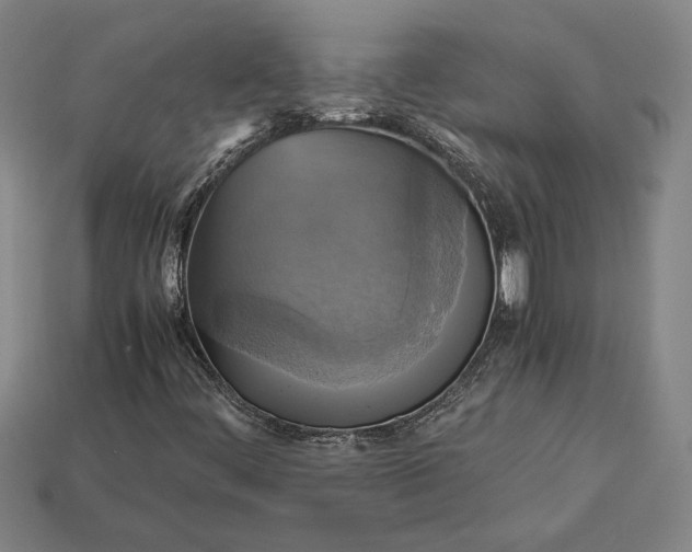 X0000113141444200909181720