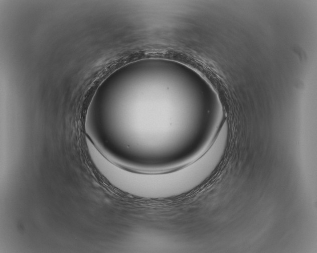 X0000113141445200909181720