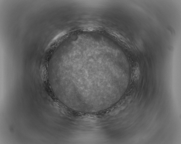 X0000113141446200909181720