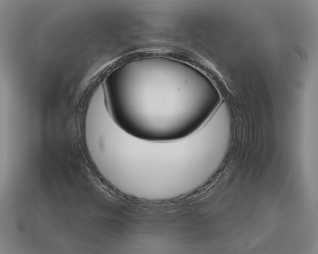 X0000113141448200909181720