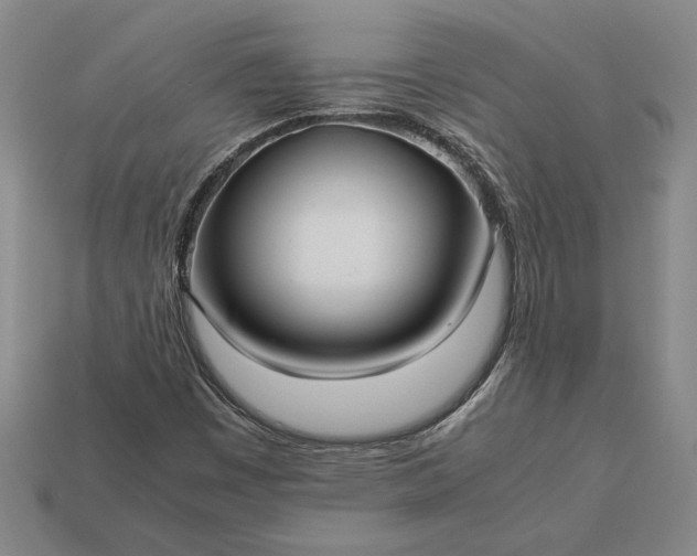 X0000113141449200909181720