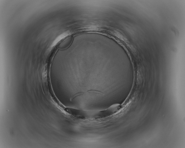 X0000113141450200909181720