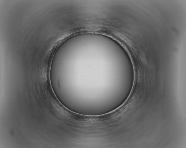 X0000113141451200909181720