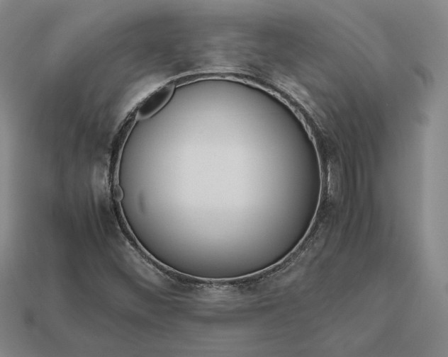 X0000113141452200909181720