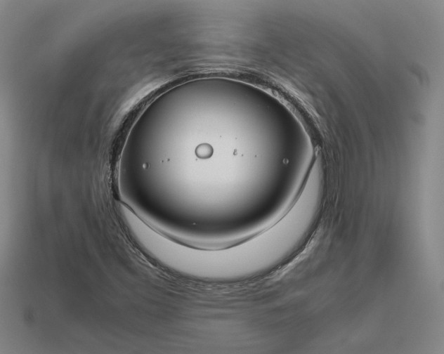 X0000113141453200909181720