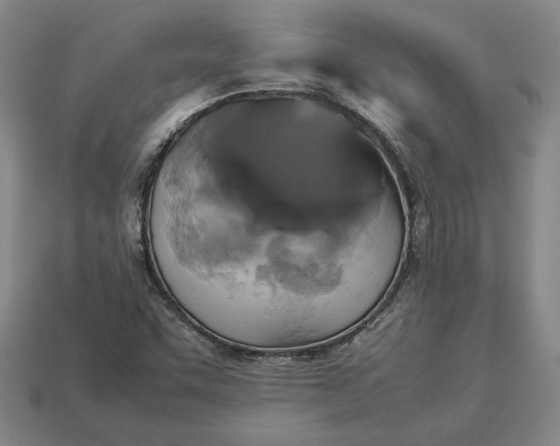 X0000113141455200909181720