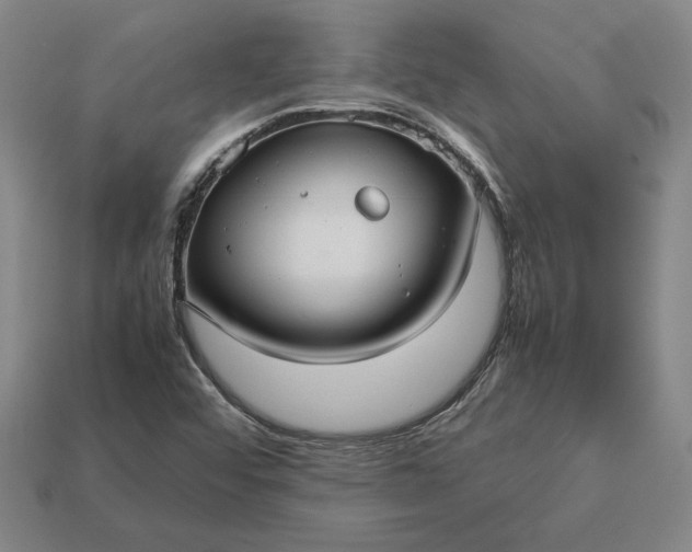 X0000113141456200909181720