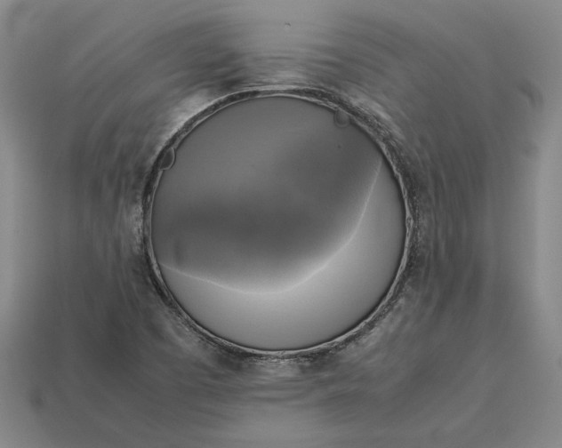 X0000113141457200909181719