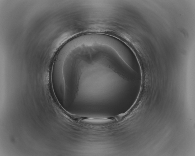 X0000113141459200909181719