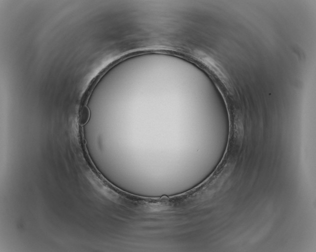 X0000113141460200909181719