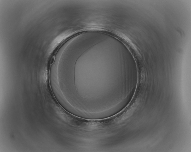 X0000113141461200909181719