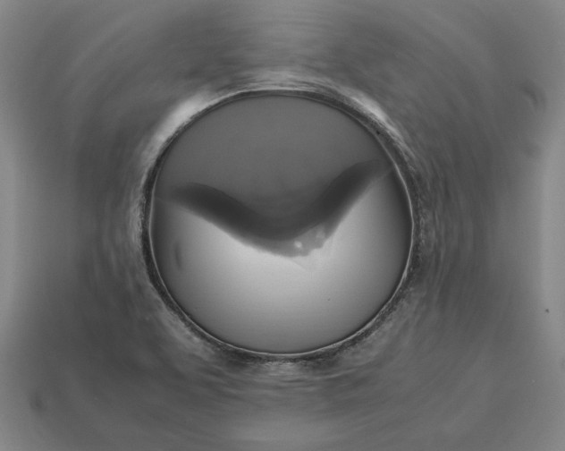 X0000113141463200909181719