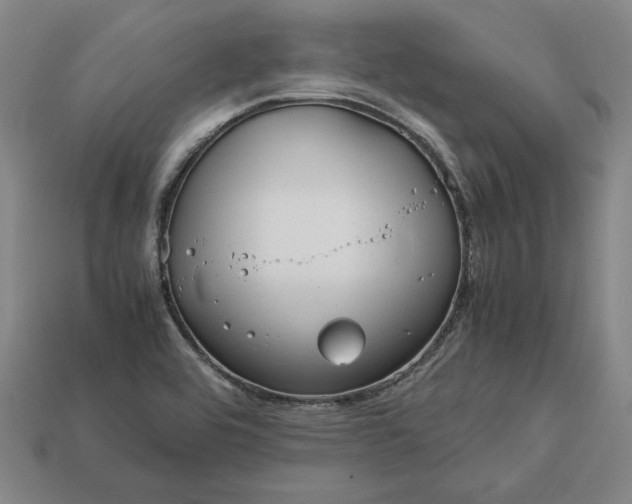 X0000113141464200909181719