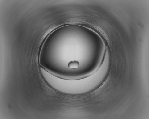 X0000113141465200909181719