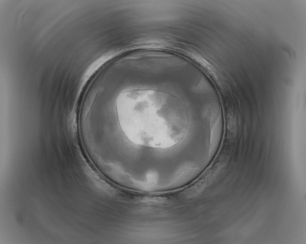 X0000113141466200909181719