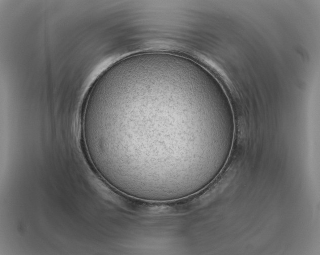 X0000113141467200909181719