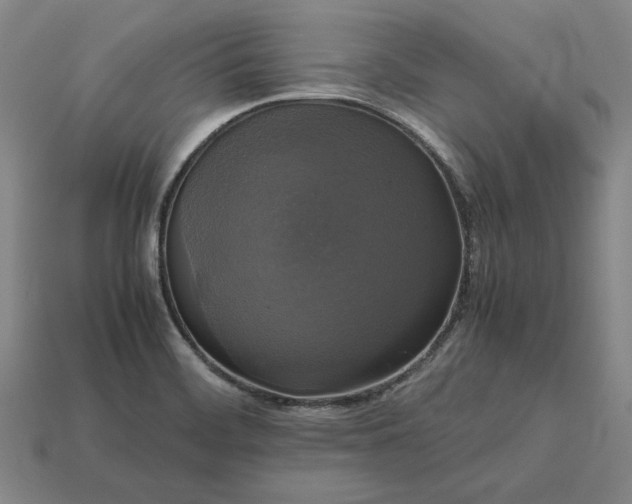 X0000113141468200909181719