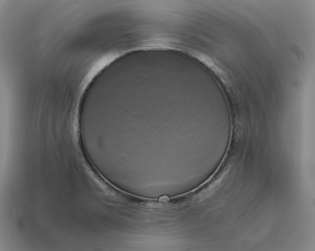 X0000113141469200909181719