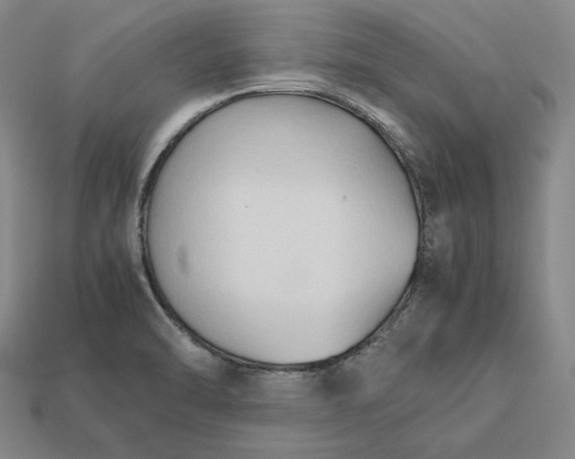 X0000113141470200909181719