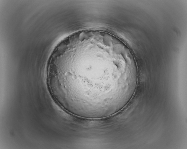 X0000113141471200909181719