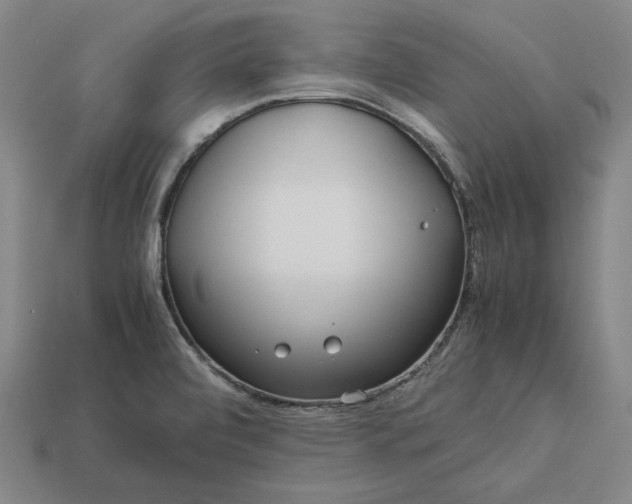 X0000113141472200909181719