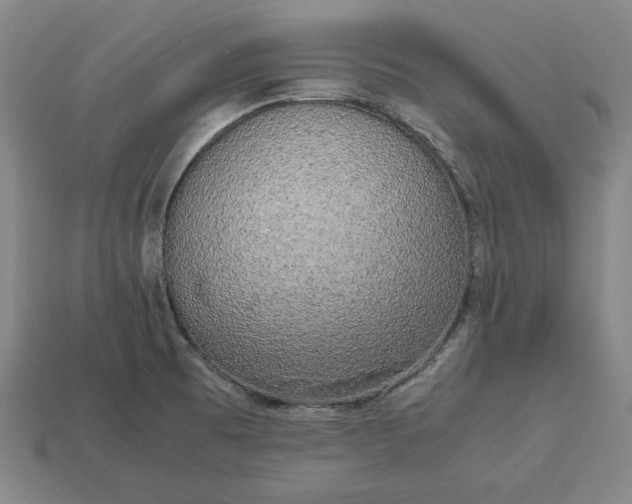 X0000113141473200909181719