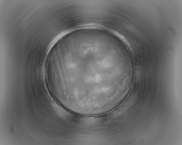 X0000113141474200909181719