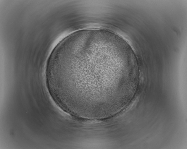 X0000113141475200909181719