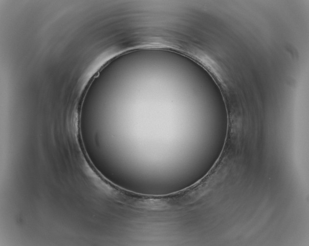 X0000113141476200909181719