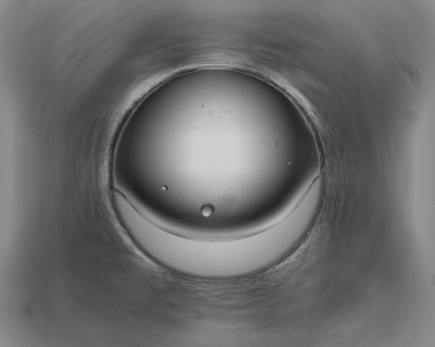 X0000113141477200909181719