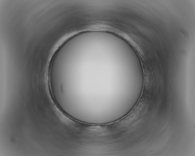 X0000113141478200909181719