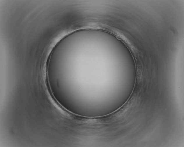 X0000113141479200909181719