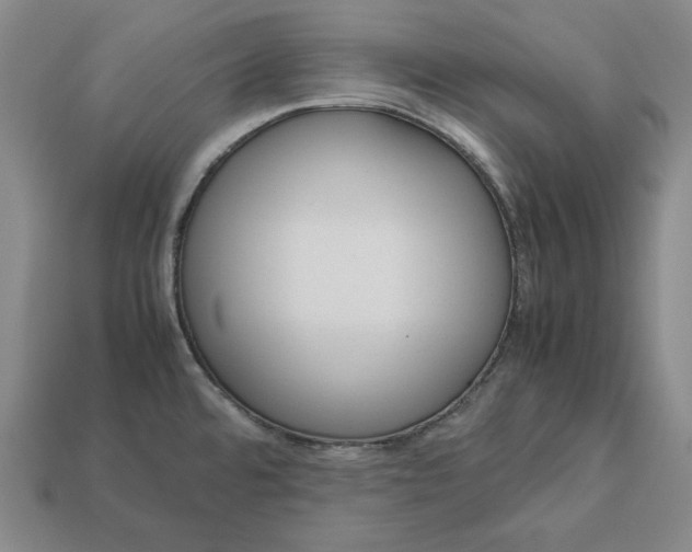 X0000113141480200909181719