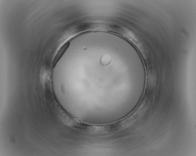 X0000113141481200909181719