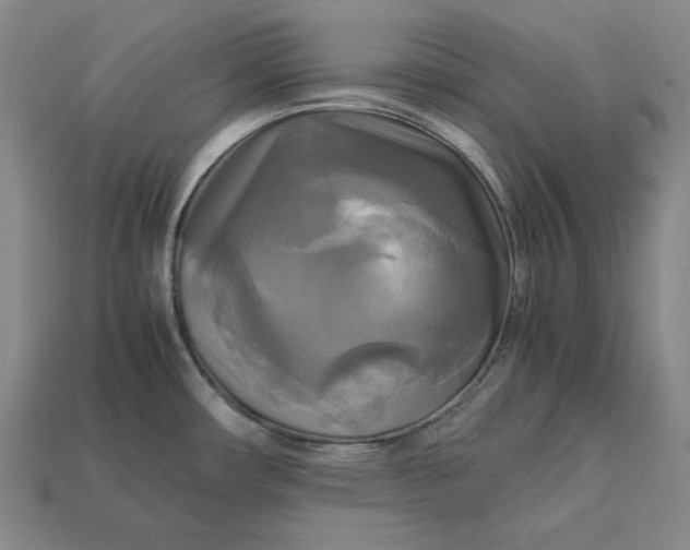 X0000113141482200909181719