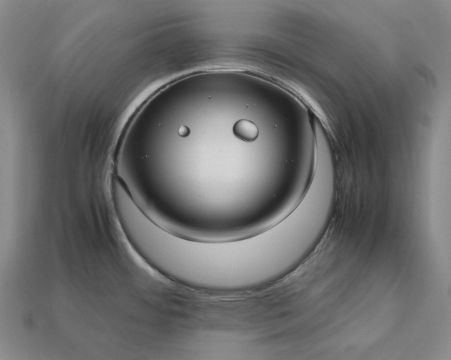 X0000113141484200909181719