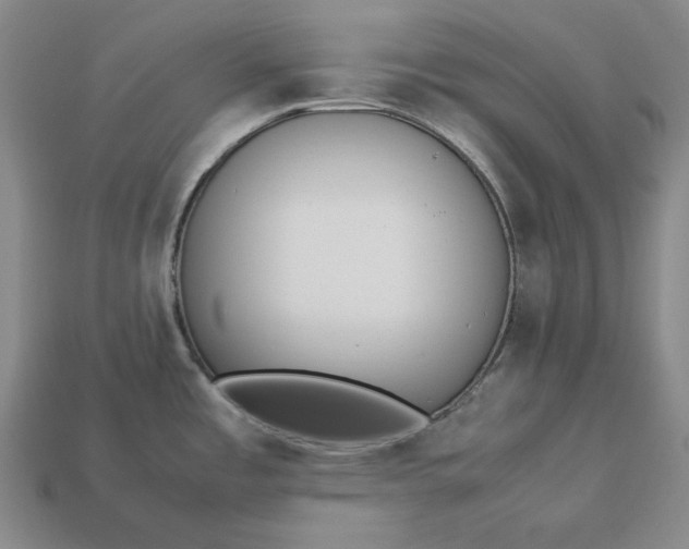 X0000113141485200909181719