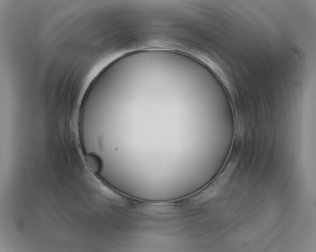 X0000113141486200909181719