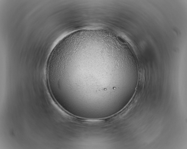 X0000113141487200909181719