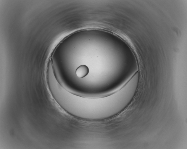 X0000113141488200909181719