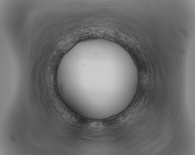 X0000113141489200909181718