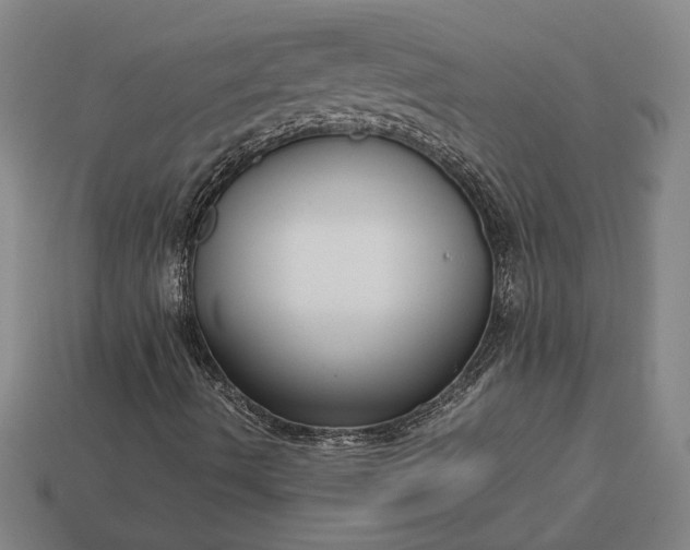 X0000113141490200909181719