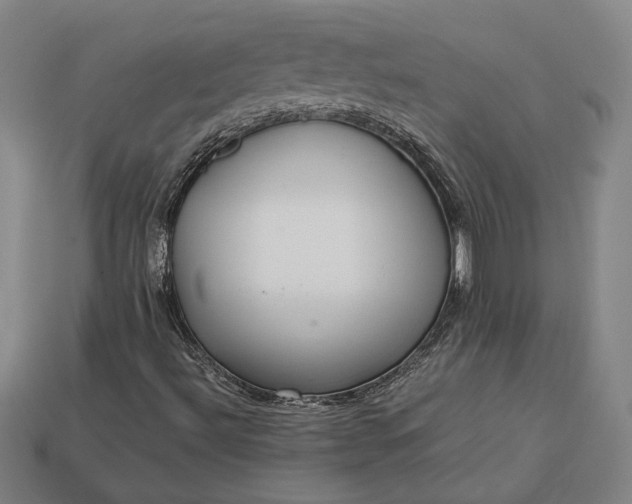 X0000113141492200909181719