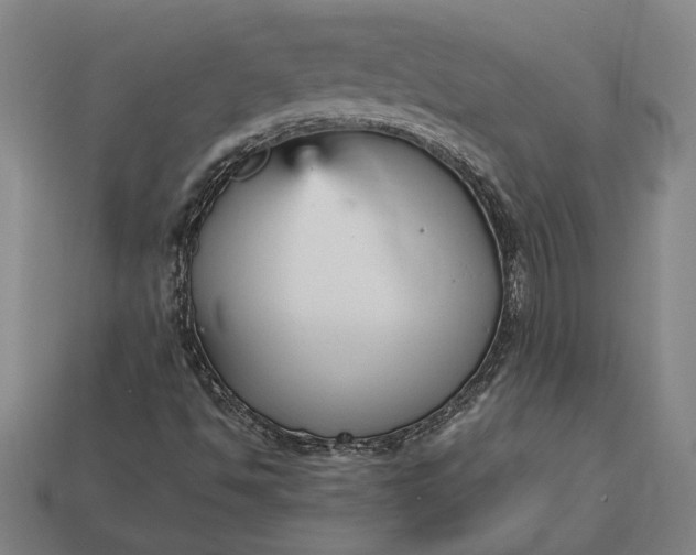 X0000113141494200909181719